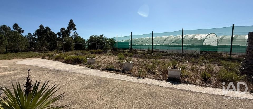 Quinta T0 em Odeceixe de 24 m²