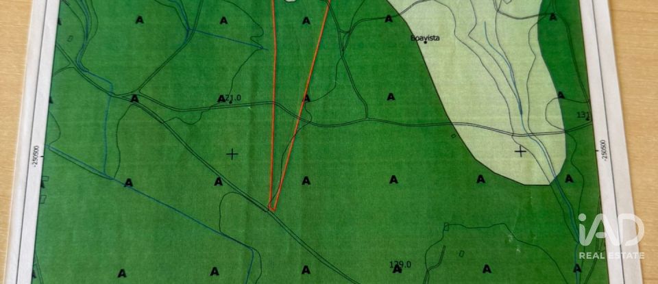 Quinta T0 em Odeceixe de 24 m²