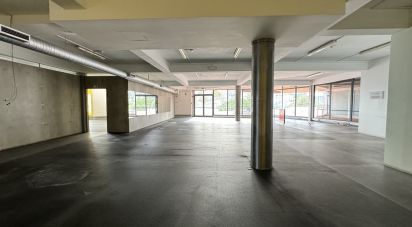 Boutique/Local commercial à Água de Pena de 532 m²