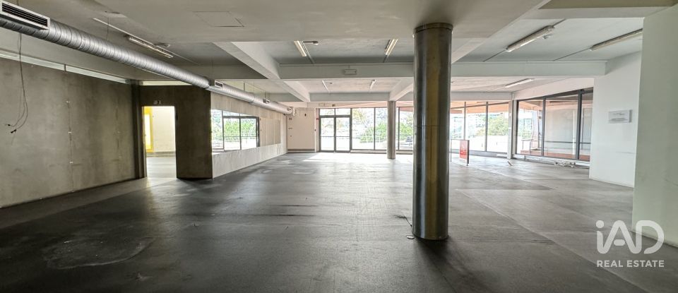 Boutique/Local commercial à Água de Pena de 532 m²