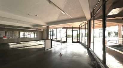 Boutique/Local commercial à Água de Pena de 532 m²