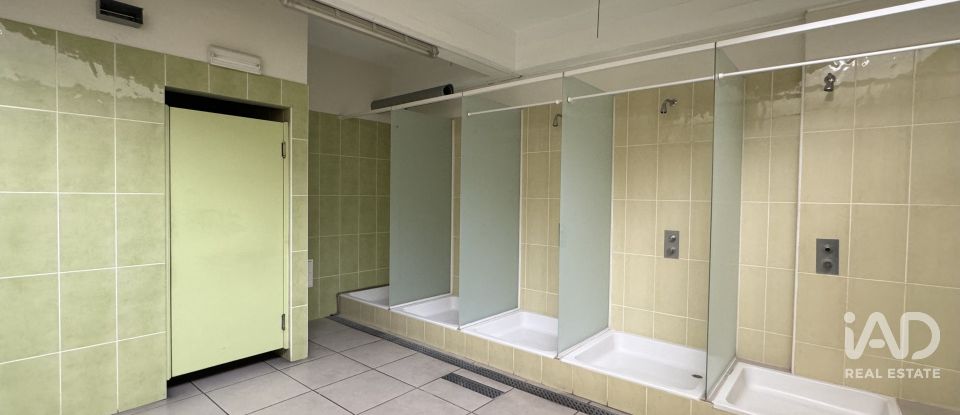 Boutique/Local commercial à Água de Pena de 532 m²