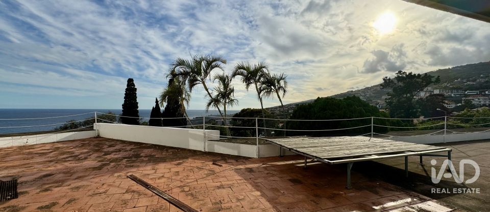 Boutique/Local commercial à Água de Pena de 532 m²