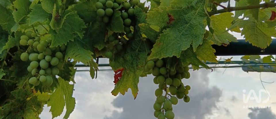 House T4 in Palmela of 179 m²