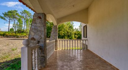 Maison T5 à Tomar (São João Baptista) e Santa Maria dos Olivais de 322 m²