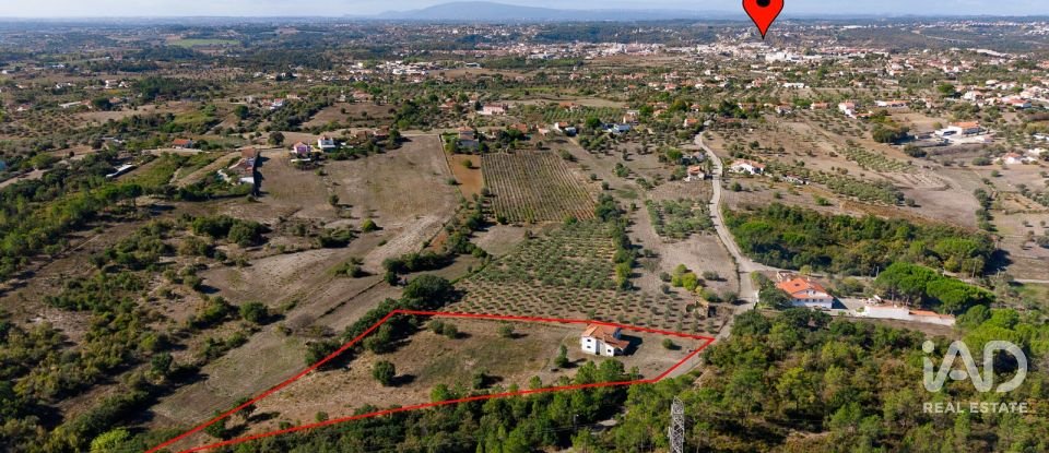 Moradia T5 em Tomar (São João Baptista) e Santa Maria dos Olivais de 322 m²