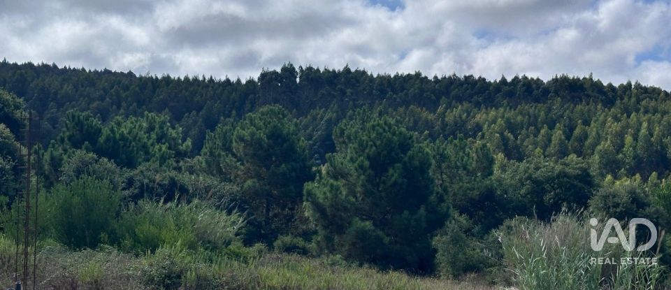 Moradia T4 em Atouguia da Baleia de 202 m²