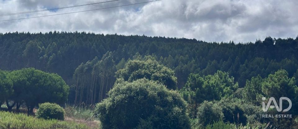 Moradia T4 em Atouguia da Baleia de 202 m²