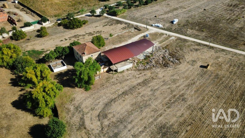 Quinta T4 em Chancelaria de 244 m²