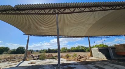Ferme T4 à Chancelaria de 244 m²