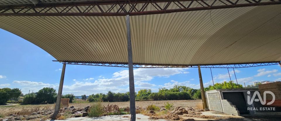 Quinta T4 em Chancelaria de 244 m²