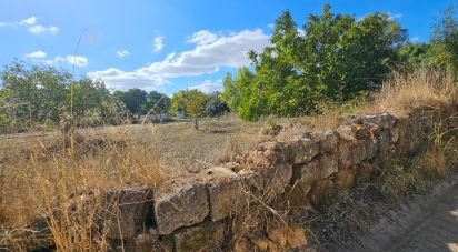 Ferme T4 à Chancelaria de 244 m²