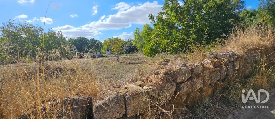 Quinta T4 em Chancelaria de 244 m²