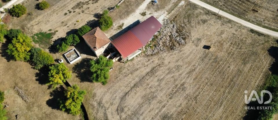 Quinta T4 em Chancelaria de 244 m²