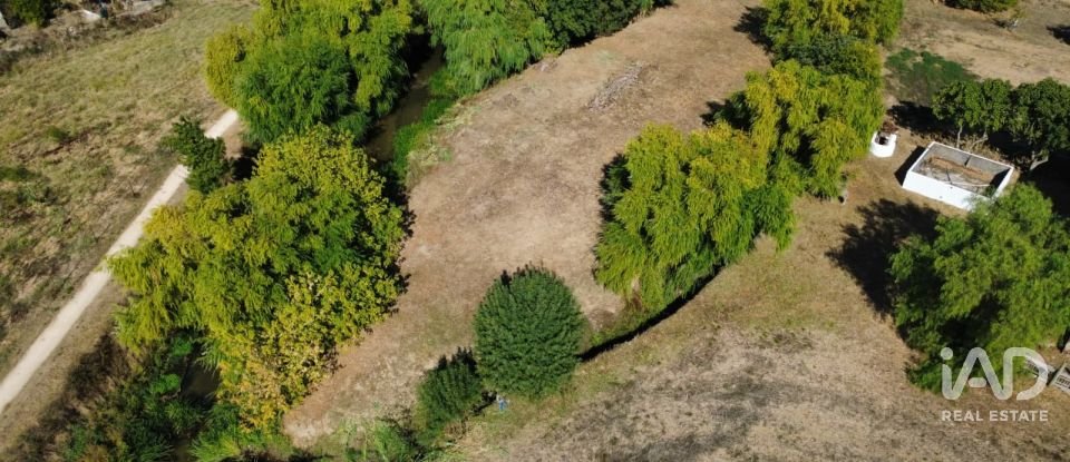 Quinta T4 em Chancelaria de 244 m²