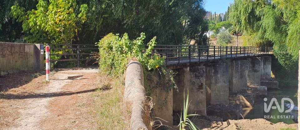 Quinta T4 em Chancelaria de 244 m²