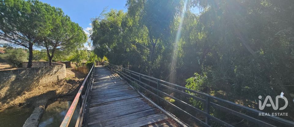 Quinta T4 em Chancelaria de 244 m²