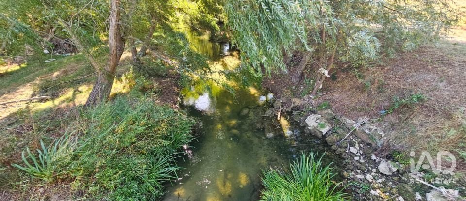 Quinta T4 em Chancelaria de 244 m²