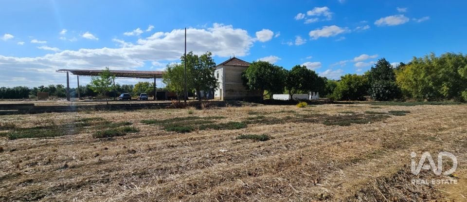 Quinta T4 em Chancelaria de 244 m²