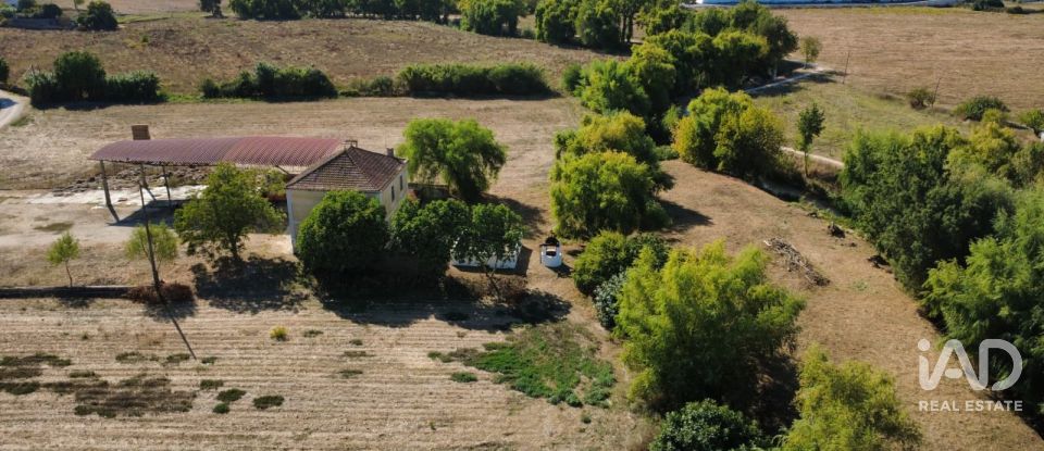 Quinta T4 em Chancelaria de 244 m²