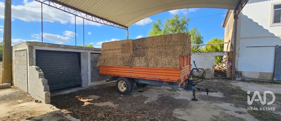 Quinta T4 em Chancelaria de 244 m²