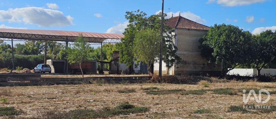 Quinta T4 em Chancelaria de 244 m²