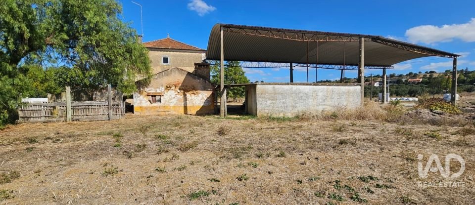 Quinta T4 em Chancelaria de 244 m²