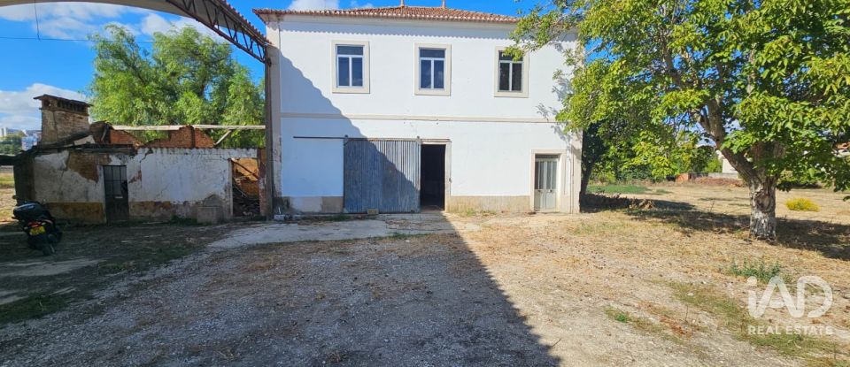 Quinta T4 em Chancelaria de 244 m²