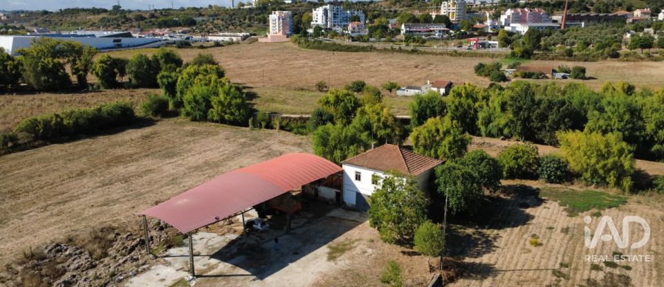 Quinta T4 em Chancelaria de 244 m²