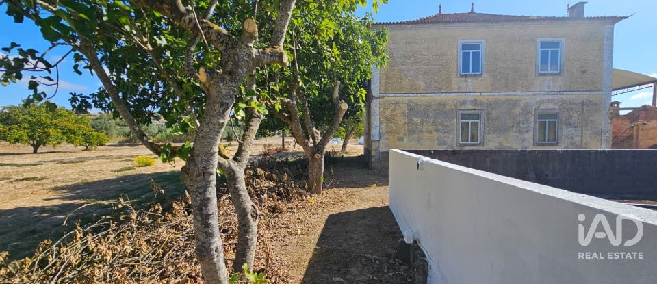 Quinta T4 em Chancelaria de 244 m²