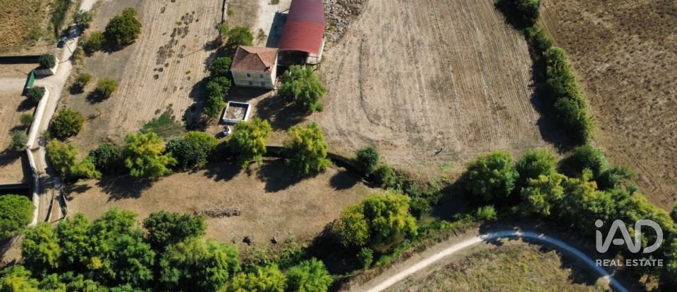 Quinta T4 em Chancelaria de 244 m²