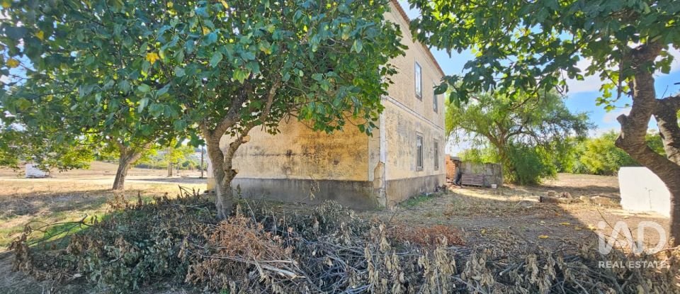 Quinta T4 em Chancelaria de 244 m²