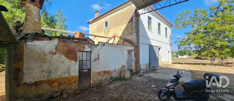 Quinta T4 em Chancelaria de 244 m²