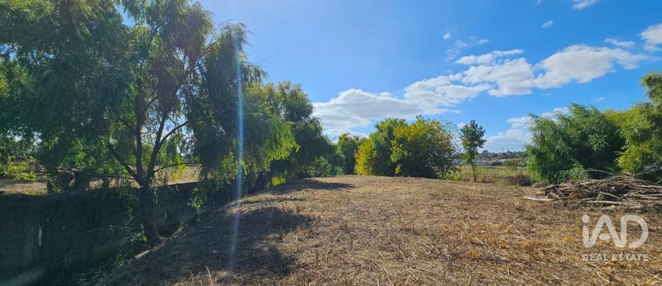 Quinta T4 em Chancelaria de 244 m²