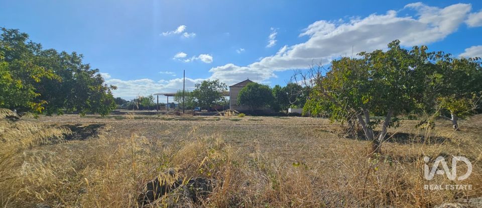 Quinta T4 em Chancelaria de 244 m²