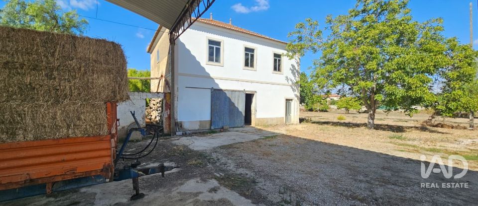 Quinta T4 em Chancelaria de 244 m²