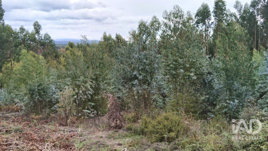 Terrain agricole à Vila Facaia de 3 880 m²