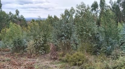 Terrain agricole à Vila Facaia de 3 880 m²