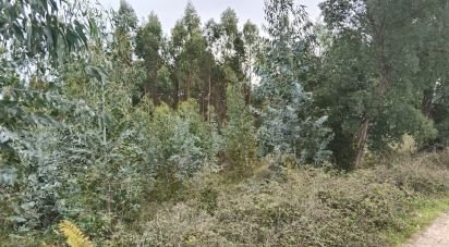 Terrain agricole à Vila Facaia de 3 880 m²