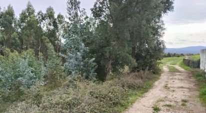 Terrain agricole à Vila Facaia de 3 880 m²