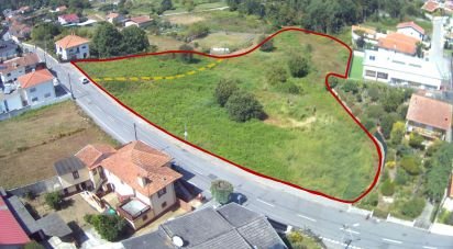 Terrain à Sanguedo de 6 930 m²