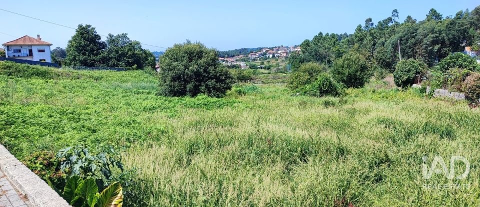 Terreno em Sanguedo de 6 930 m²