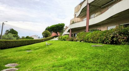 Apartment T2 in Seixas of 76 m²