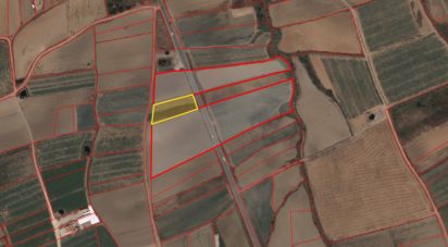 Terrain agricole à Atouguia da Baleia de 2 000 m²