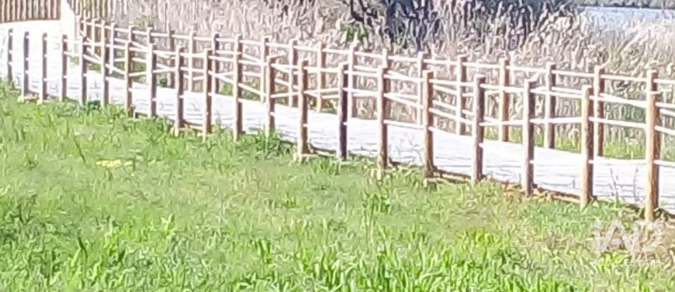 Maison de plain-pied T3 à Antas de 199 m²