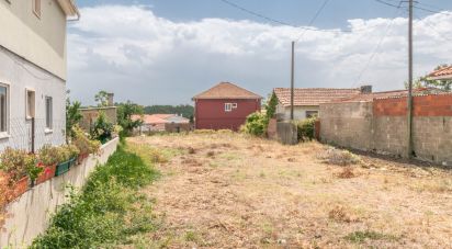 Terrain à Marinha Grande de 650 m²