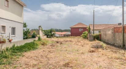 Terrain à Marinha Grande de 650 m²