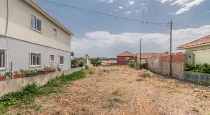 Terrain à Marinha Grande de 650 m²