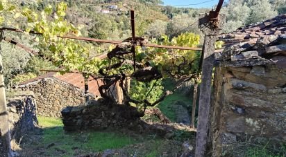 Ferme T4 à Pedrógão Grande de 426 m²