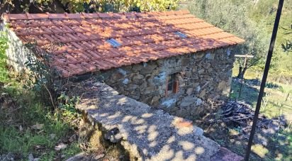 Ferme T4 à Pedrógão Grande de 426 m²